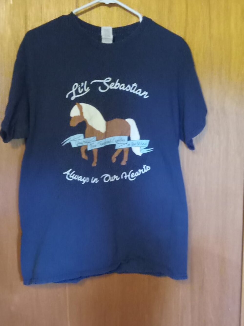 *3 FOR $13* Navy Lil Sebastian tshirt